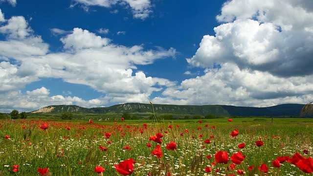 생리 전 증후군(PMS) 완벽 가이드: 증상, 원인, 치료 및 관리법 생리 전 증후군(PMS) 완벽 가이드: 증상, 원인, 치료 및 관리법