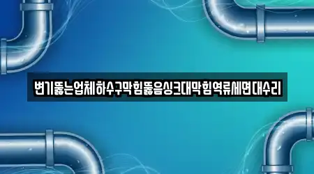 변기뚫는업체하수구막힘뚫음싱크대막힘역류세면대수리