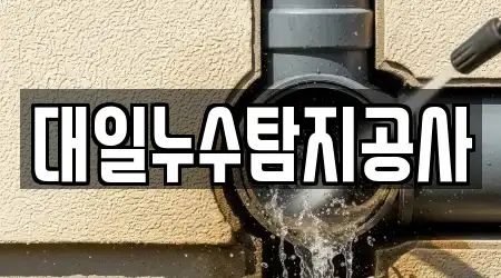 대일누수탐지공사