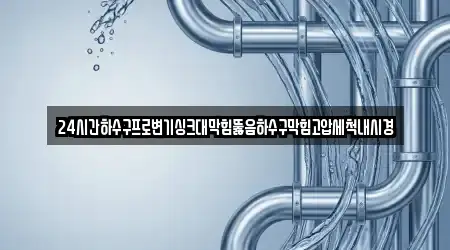 24시간하수구프로변기싱크대막힘뚫음하수구막힘고압세척내시경