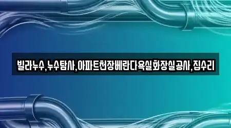 빌라누수,누수탐사,아파트천장베란다욕실화장실공사,집수리