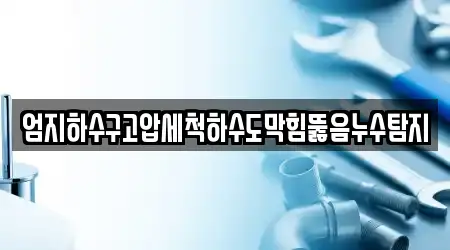 엄지하수구고압세척하수도막힘뚫음누수탐지