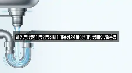 하수구막힘변기막힘악취제거기똥찬24시싱크대막힘배수구뚫는법