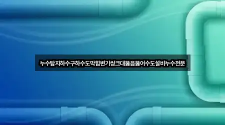 누수탐지하수구하수도막힘변기씽크대뚫음뚫어수도설비누수전문