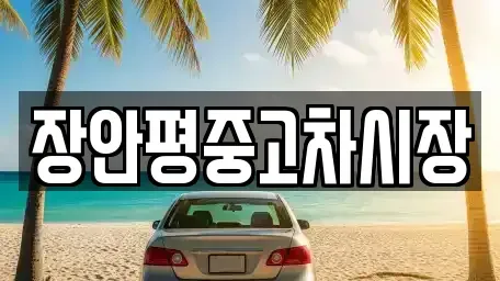 경기 하남시 창우동 중고차매매 전문 장안평중고차시장