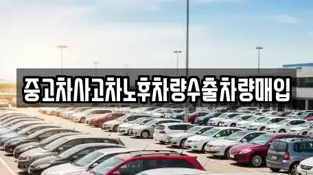 경기 하남시 창우동 중고차매입 전문 중고차사고차노후차량수출차량매입