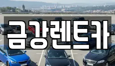 경기도 수원시 장안구 파장동 렌트카 전문 금강렌트카