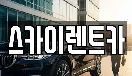 경기도 수원시 장안구 파장동 렌트카 전문 스카이렌트카