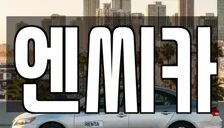 경기도 수원시 장안구 파장동 장기렌트카 전문 엔씨카