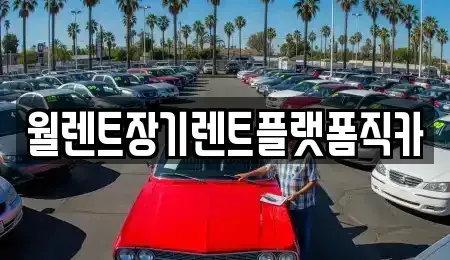 경기도 수원시 장안구 파장동 장기렌트카 전문 월렌트장기렌트플랫폼직카