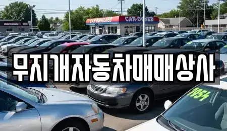 경기도 수원시 장안구 파장동 중고차 전문 무지개자동차매매상사