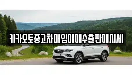 경기도 포천시 소흘읍 중고차매입 전문 카카오토중고차매입매매수출판매시세