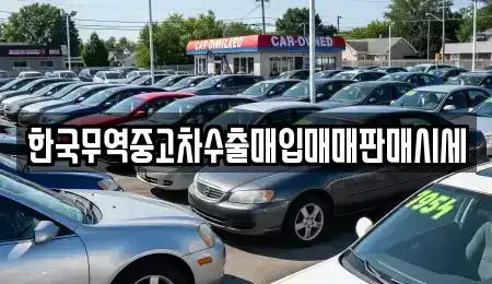 경북 김천시 평화동 중고차매입 전문 한국무역중고차수출매입매매판매시세