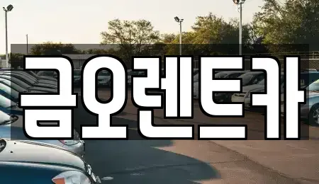 대구광역시 중구 인교동 렌트카 전문 금오렌트카