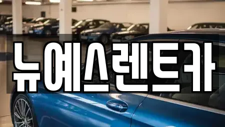 대구광역시 중구 인교동 렌트카 전문 뉴예스렌트카