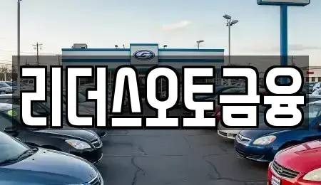 대구광역시 중구 인교동 렌트카 전문 리더스오토금융