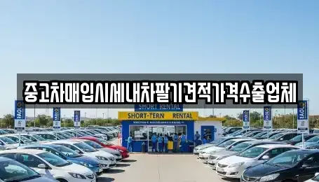 대구광역시 중구 인교동 중고차 전문 중고차매입시세내차팔기견적가격수출업체