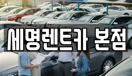 부산 영도구 봉래동3가 렌트카 전문 세명렌트카 본점