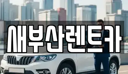 부산광역시 영도구 신선동1가 렌트카 전문 새부산렌트카