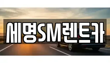부산광역시 영도구 신선동1가 렌트카 전문 세명SM렌트카