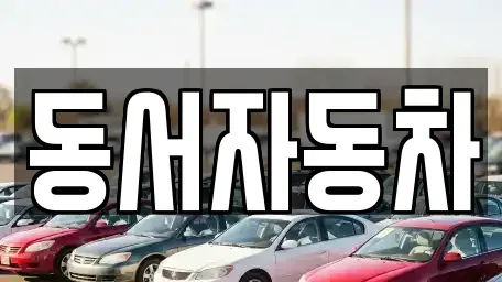 부산광역시 영도구 신선동1가 중고차 전문 동서자동차