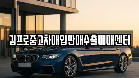 부산광역시 영도구 신선동1가 중고차매입 전문 김프로중고차매입판매수출매매센터