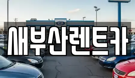 부산광역시 중구 부평동1가 렌트카 전문 새부산렌트카