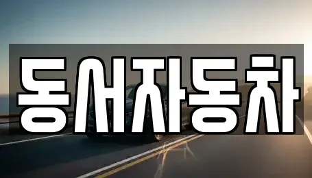 부산광역시 중구 부평동1가 중고차 전문 동서자동차