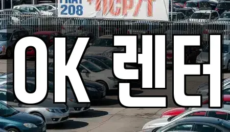 서울 성북구 삼선동5가 렌트카 전문 OK 렌터