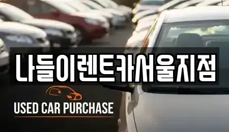 서울 성북구 삼선동5가 렌트카 전문 나들이렌트카서울지점