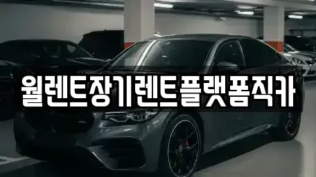 서울 성북구 삼선동5가 장기렌트카 전문 월렌트장기렌트플랫폼직카
