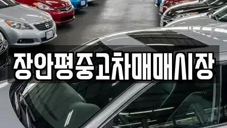 서울 성북구 삼선동5가 중고차 전문 장안평중고차매매시장