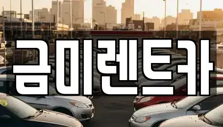 서울특별시 종로구 창성동 렌트카 전문 금미렌트카