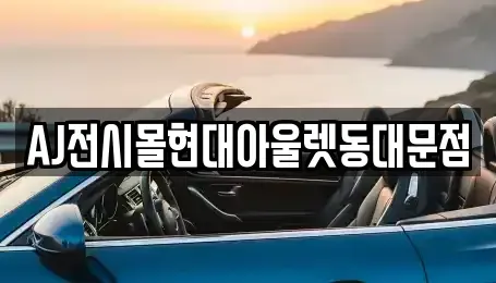 서울특별시 중구 인현동2가 렌트카 전문 AJ전시몰현대아울렛동대문점