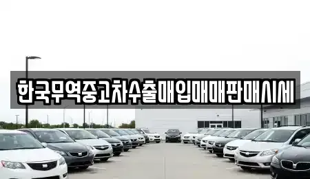 전라남도 보성군 보성읍 중고차 전문 한국무역중고차수출매입매매판매시세
