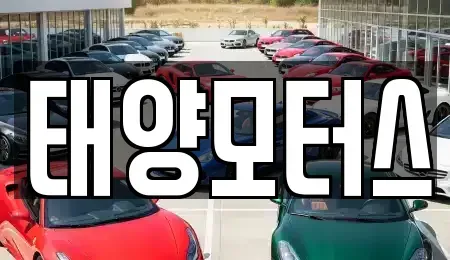 전라남도 장흥군 장동면 중고차 전문 태양모터스